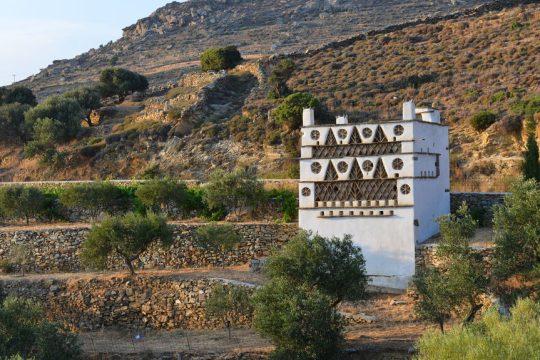 tinos